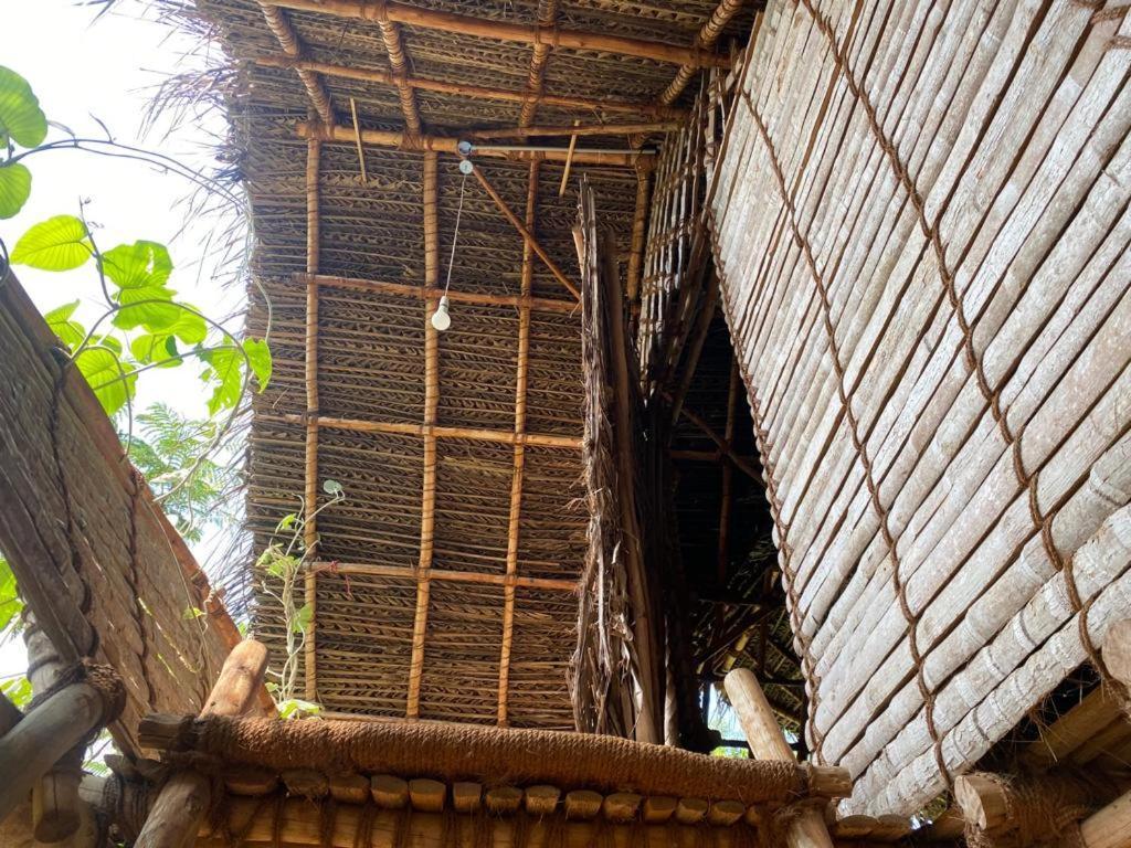 Time Travellers Hostel Auroville Exteriér fotografie